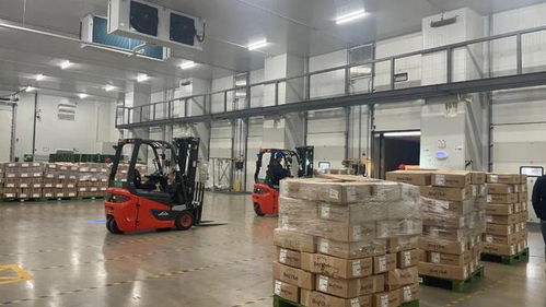 總投資10億元 金山這一項(xiàng)目全新亮相