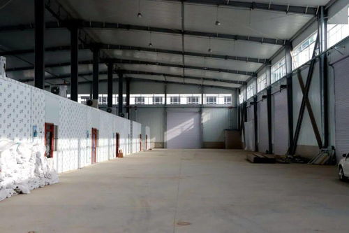 嗨購新年 會寧朝陽農產品交易中心將于元旦盛大開業